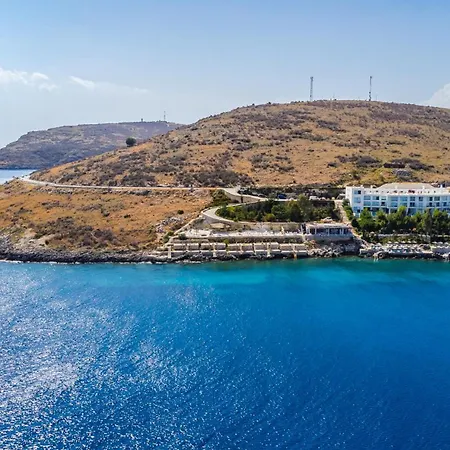 Stone - Adults Only * Qeparo