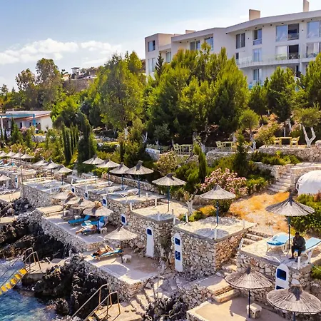 Stone - Adults Only * Qeparo