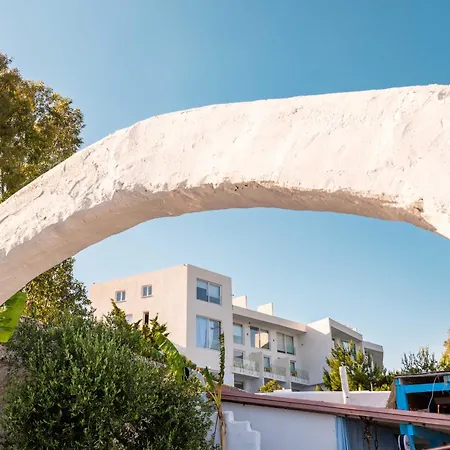 Hotel Stone - Adults Only *